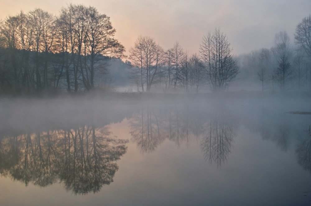 ... рассвет приподнимет ночную вуаль ...
