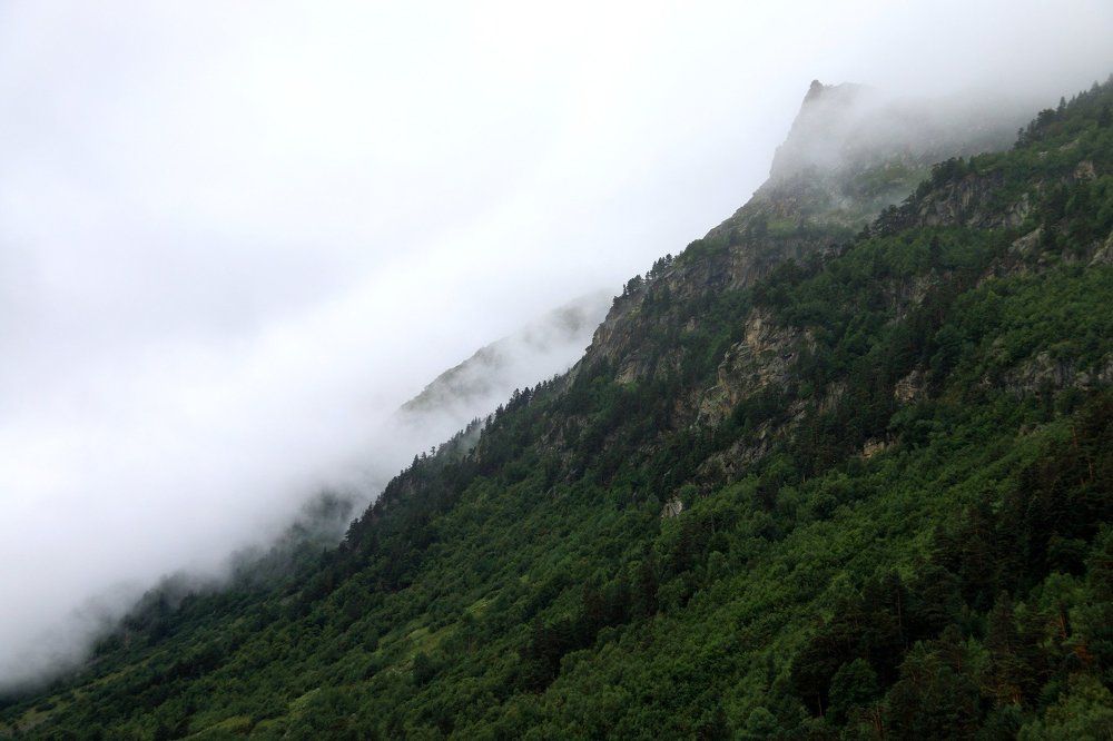 Photograph by Александр Пиленгас