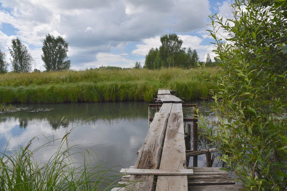 Photograph by Вячеслав Камышев