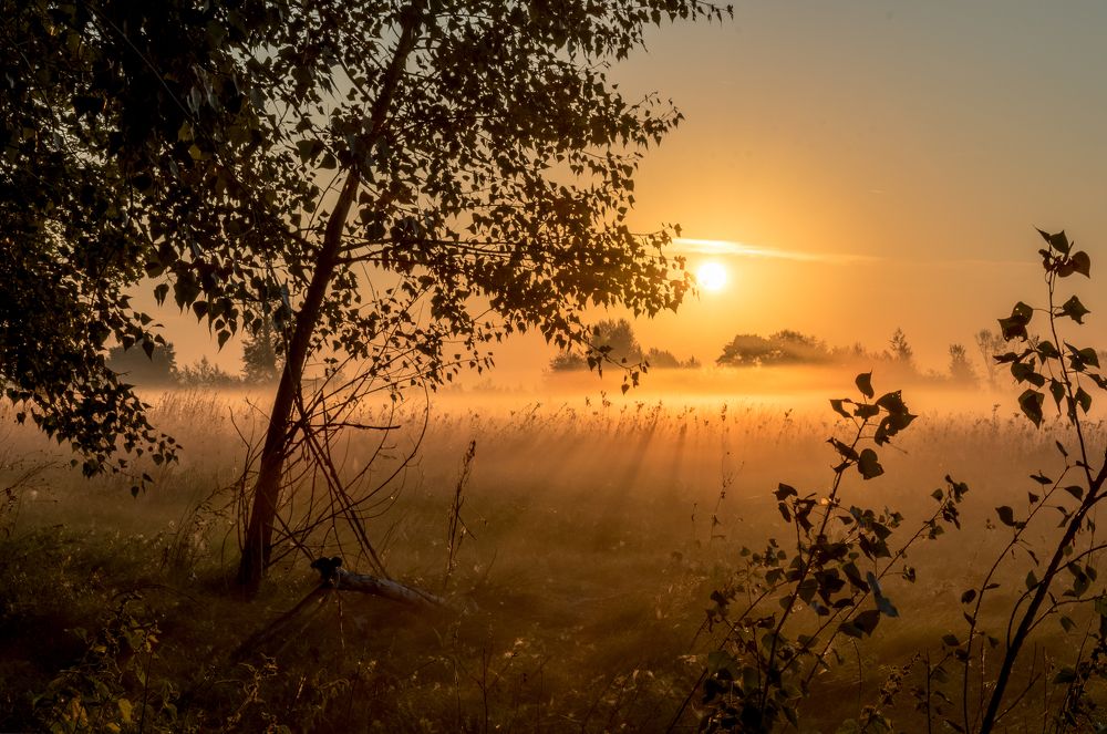 Фотография автора Артём Семагин