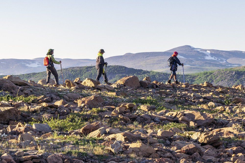 Полярный Урал местечко Рай-Из, курумник.