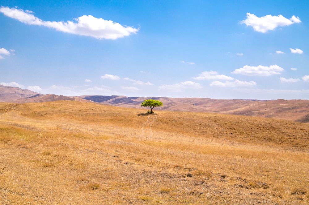 Гареджийская пустыня