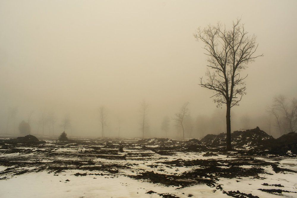 Февральский туман