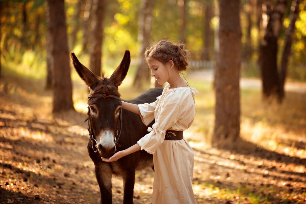 Неожиданная встреча