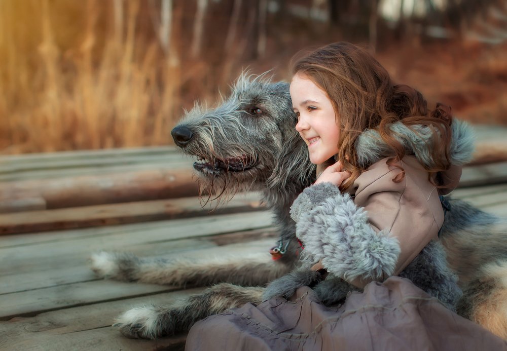 Мохнатый друг