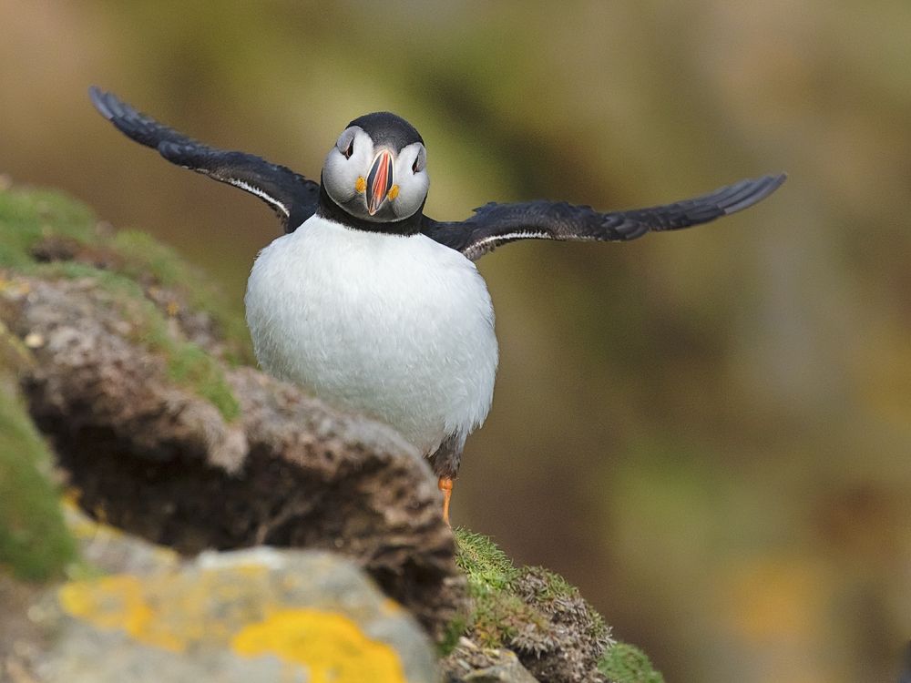 Photograph by Дмитрий Симбаев