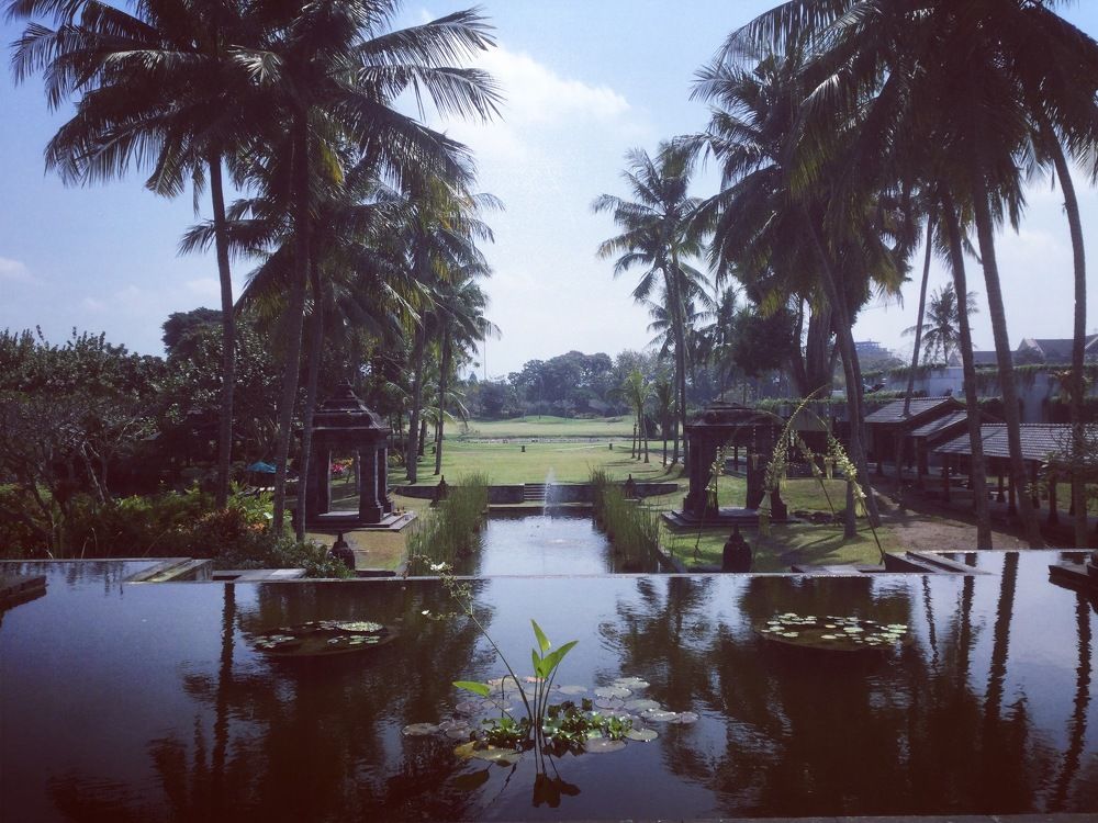 Big Hotel’s Big Backyard