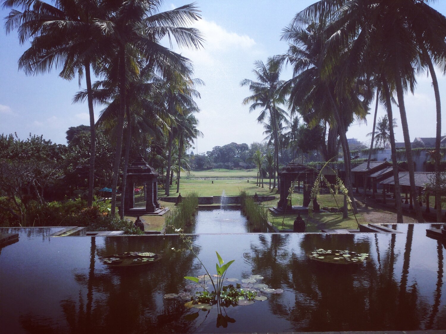 Big Hotel’s Big Backyard