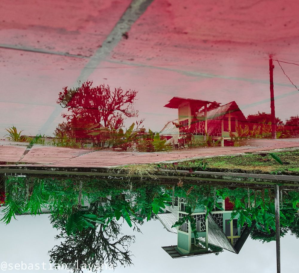 Reflejos