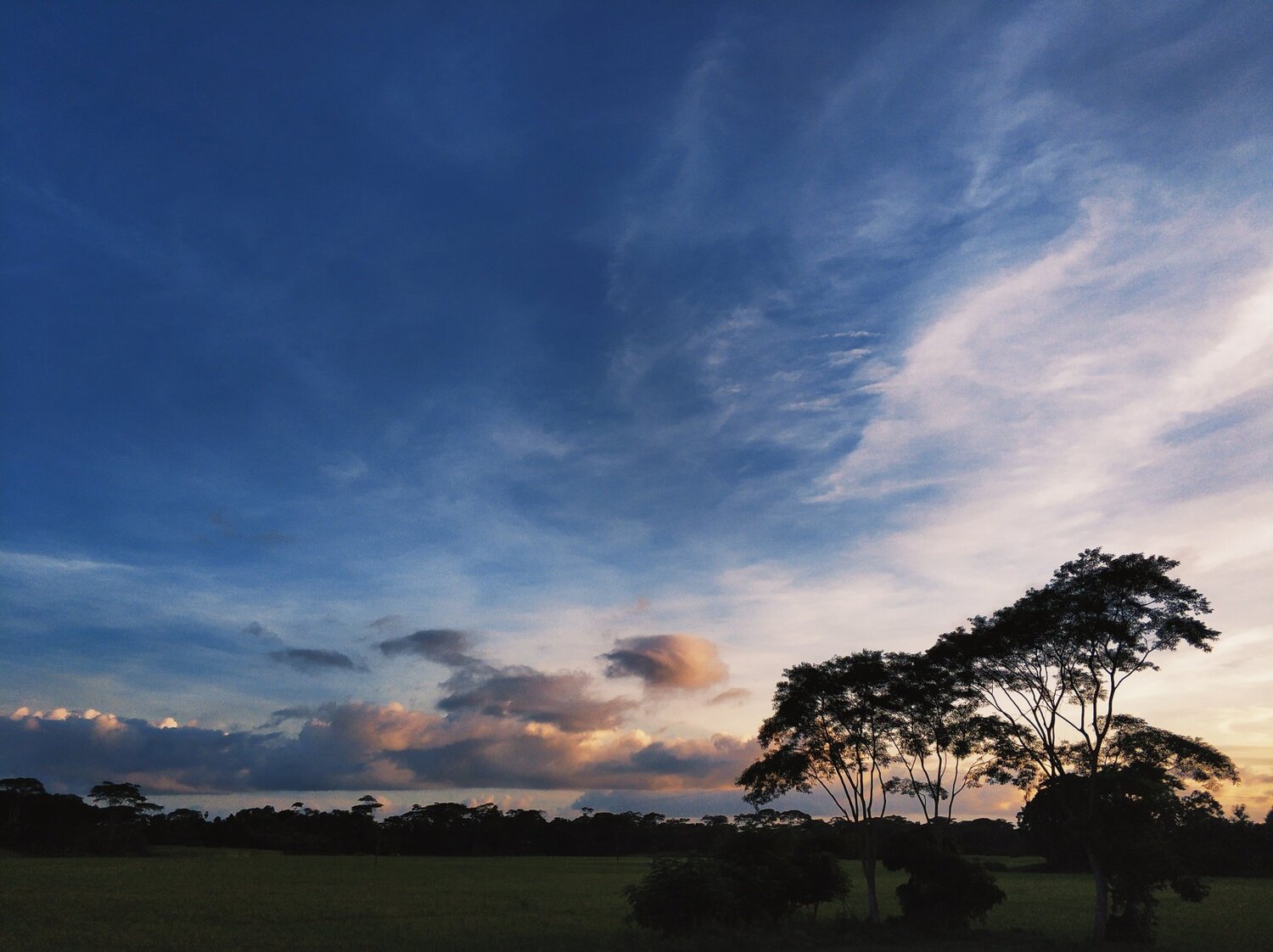 nature!