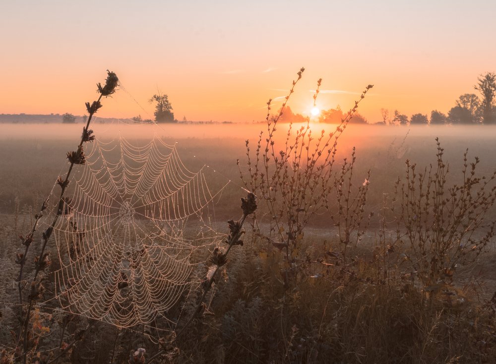 Фотография автора Артём Семагин