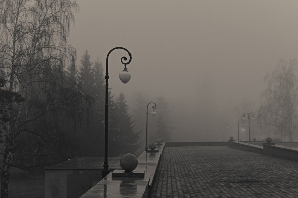 Туманное утро