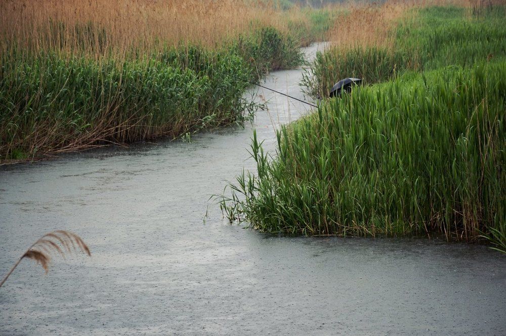 Рыбалка под дождем.