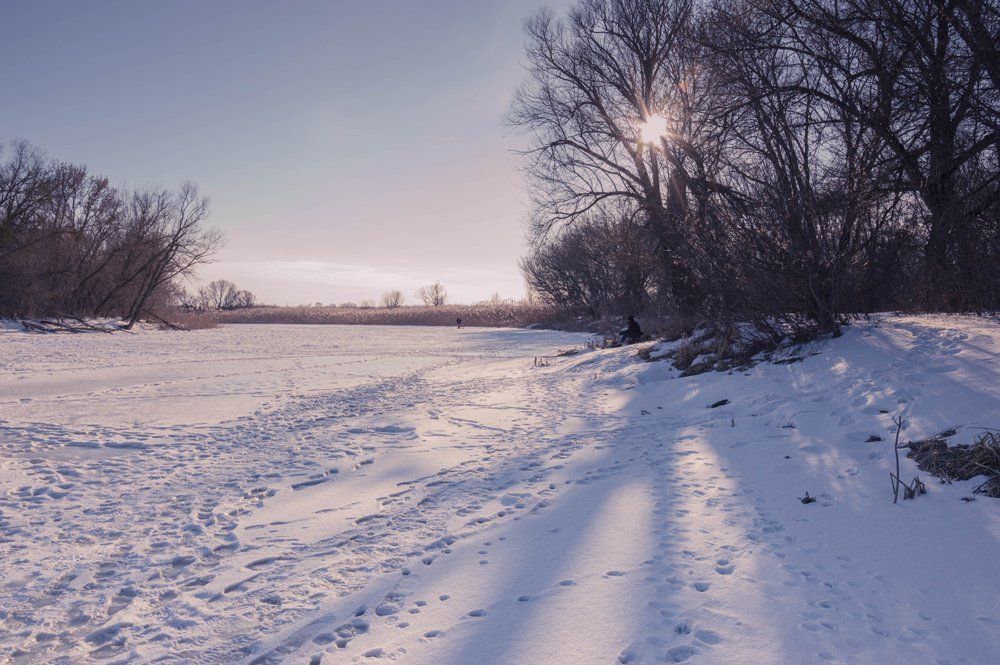Прогулка по зимней речке