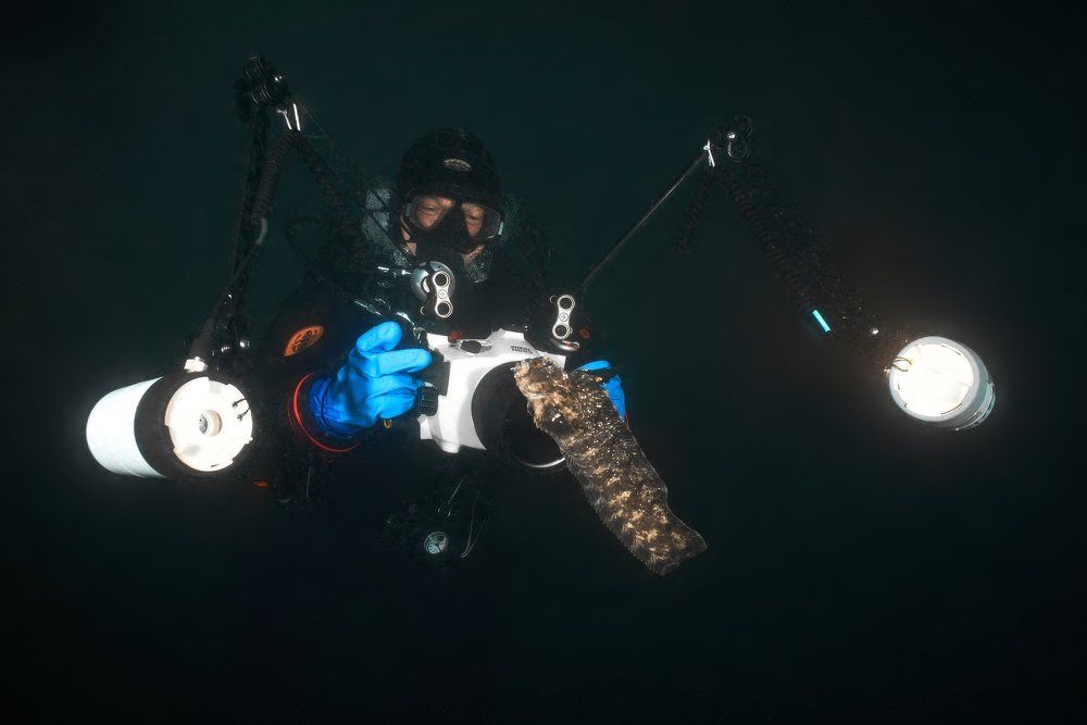 Селфи. Мохнатоголовая собачка