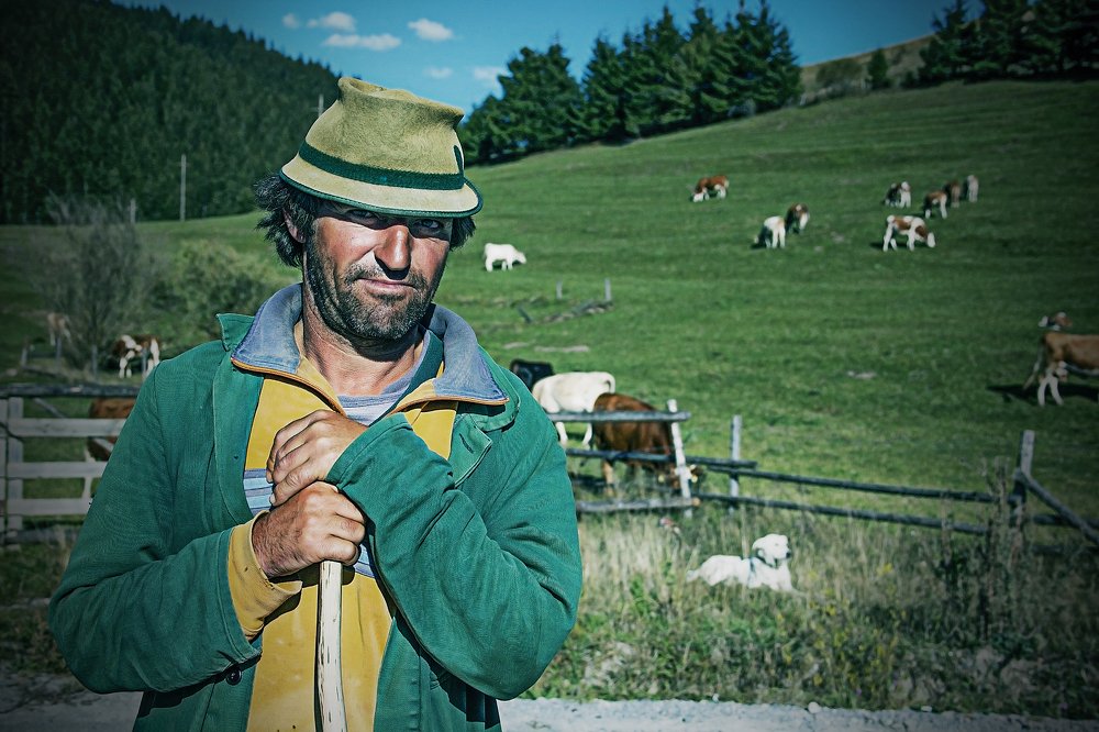 The Shepherd 3