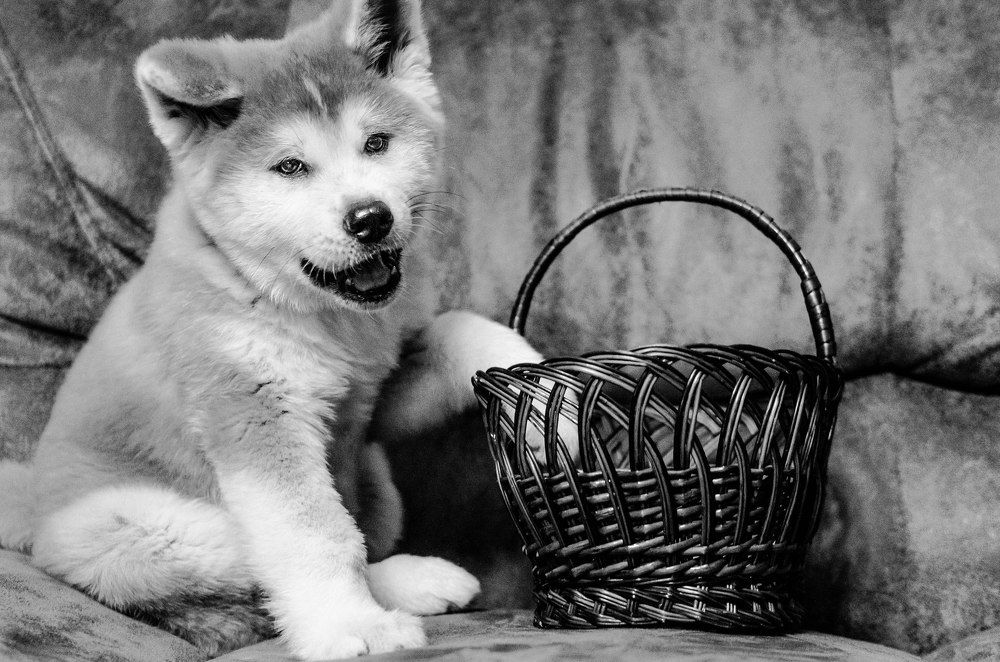 Photograph by Юля Лагутенкова