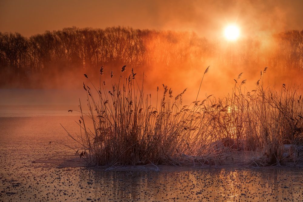 Морозный рассвет