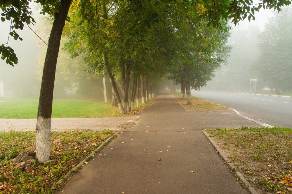 туманная аллея