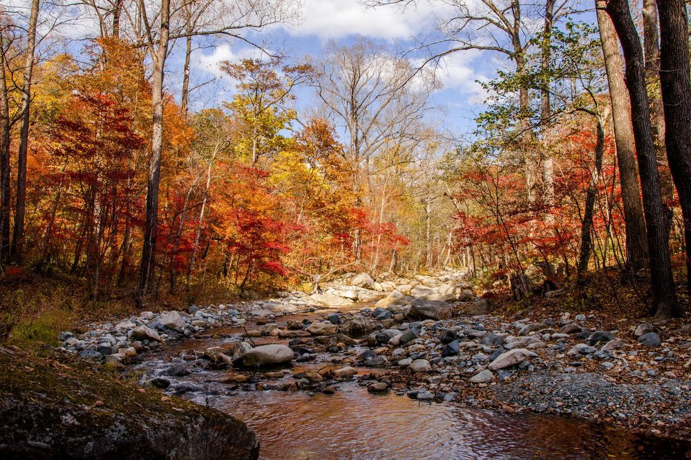 Яркая осень. Приморский край.