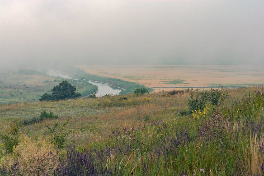 Река уходит в туман.