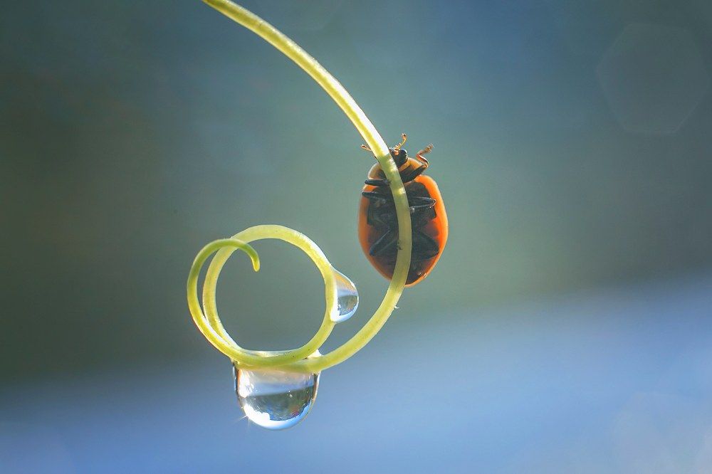 Photograph by Нурият Аллаярова