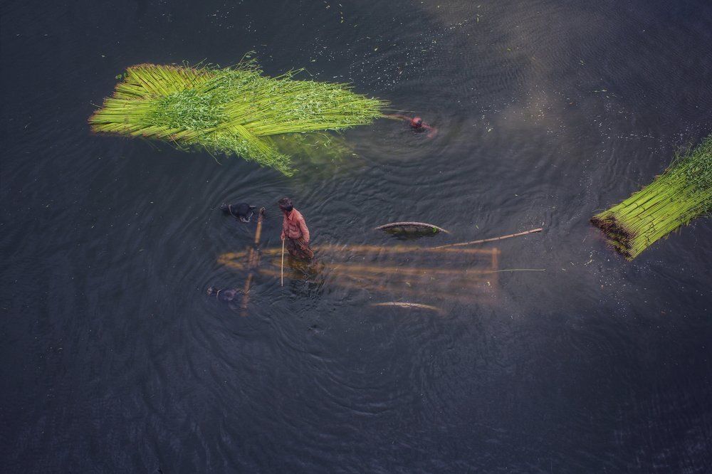 Story of Jute processing