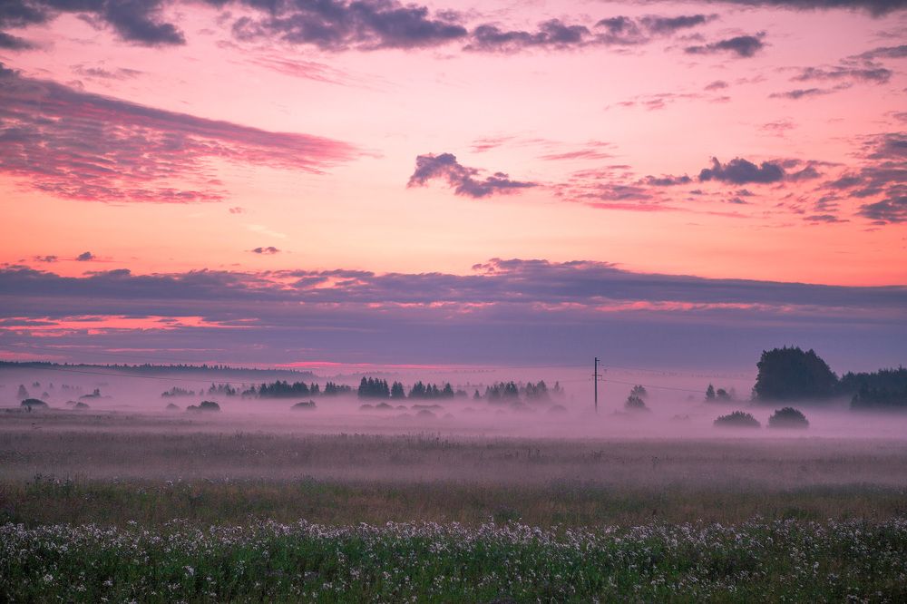 Photograph by Воробьёв Евгений