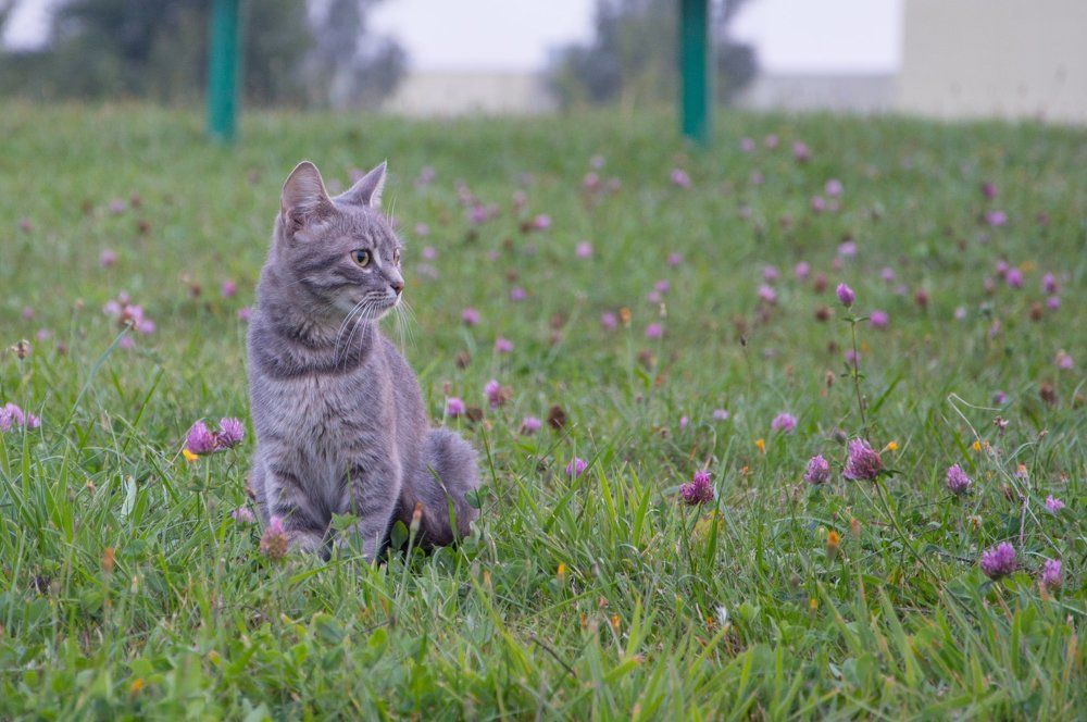Photograph by Алексей Крукович