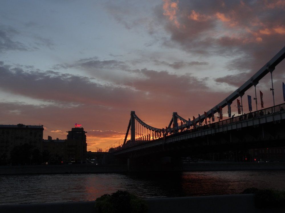 Photo #2524123