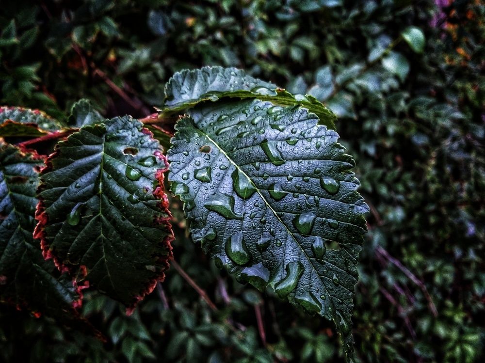 Photograph by Аяжан