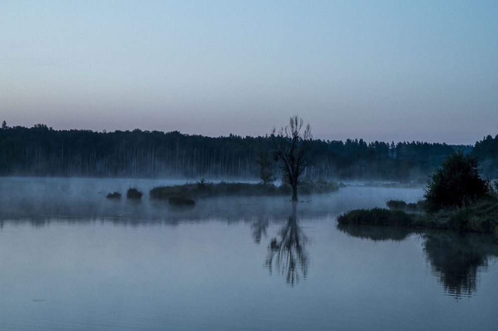 Утро перед рассветом