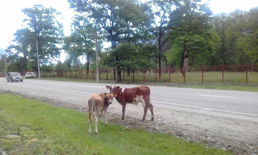 А что вы здесь делаете?