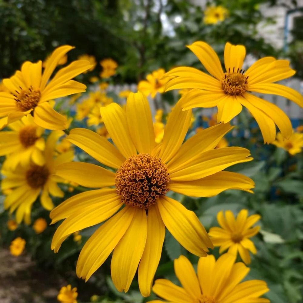 Photograph by Max Yerin