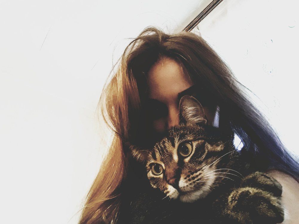 Кот