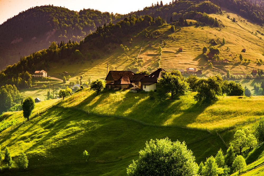 Shadows of a morning...