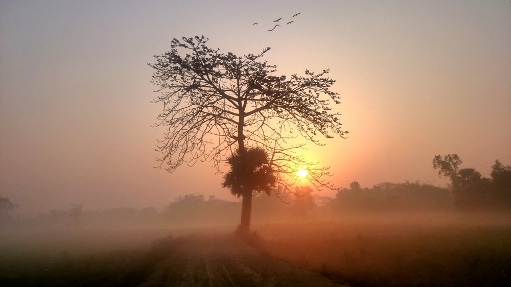 Sunrise in winter morning