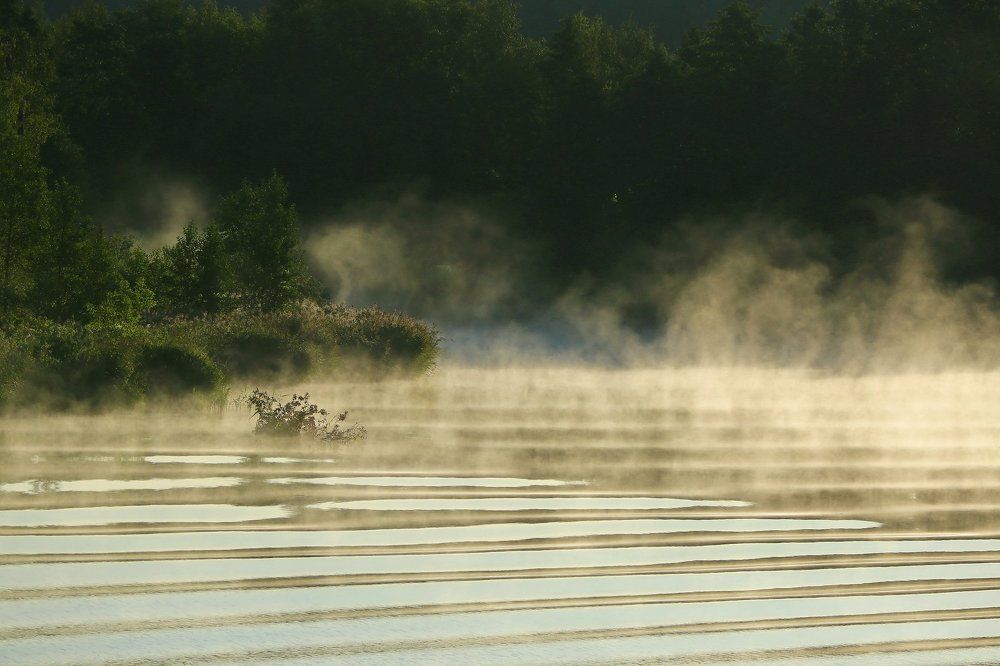 Августовское утро