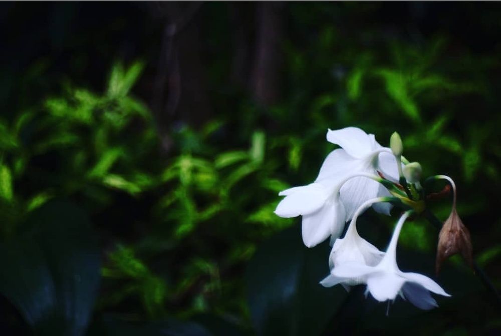 white between color choices