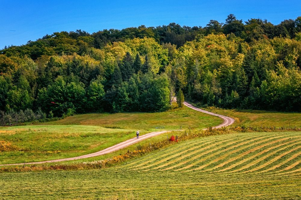 Visite dans les bois