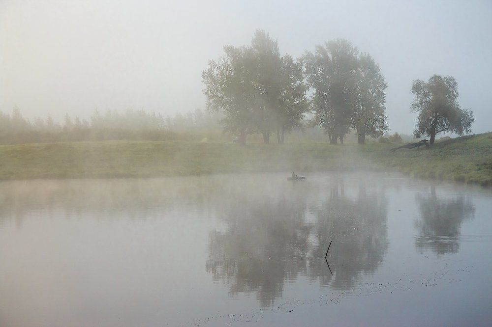 Туманное утро