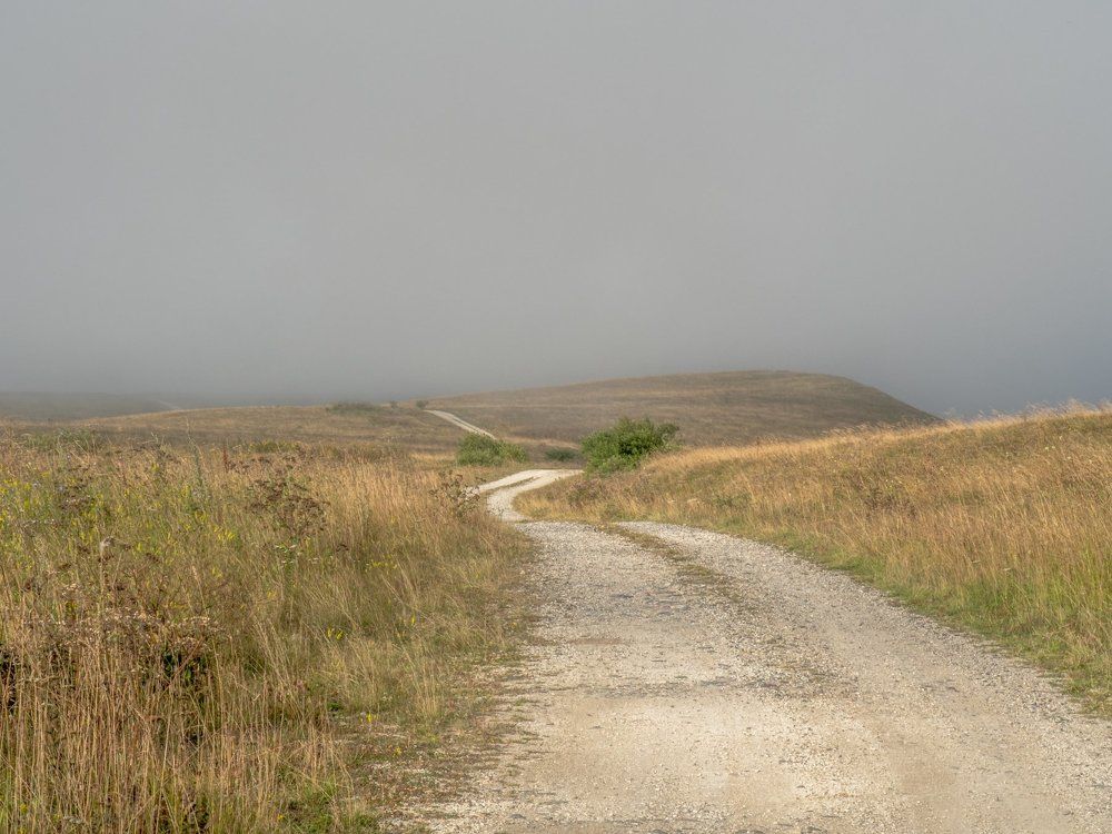Дорога в никуда