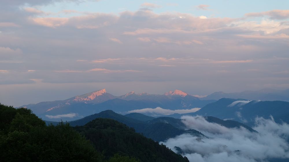 Photograph by Анна Панкратова