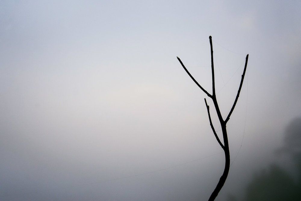 Минимализм...