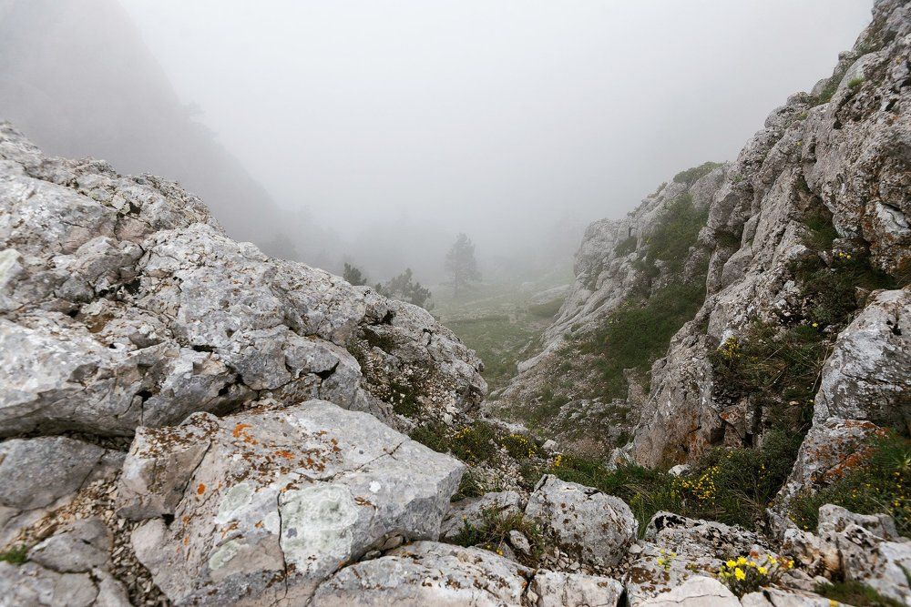 Туман на вершине Ай-Петри