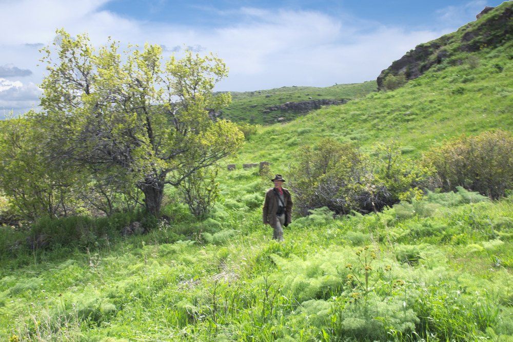 Прогулка в горах