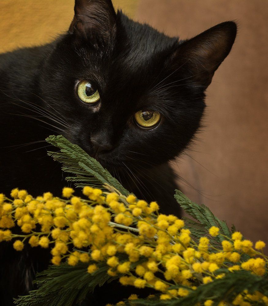 В ожидании весны