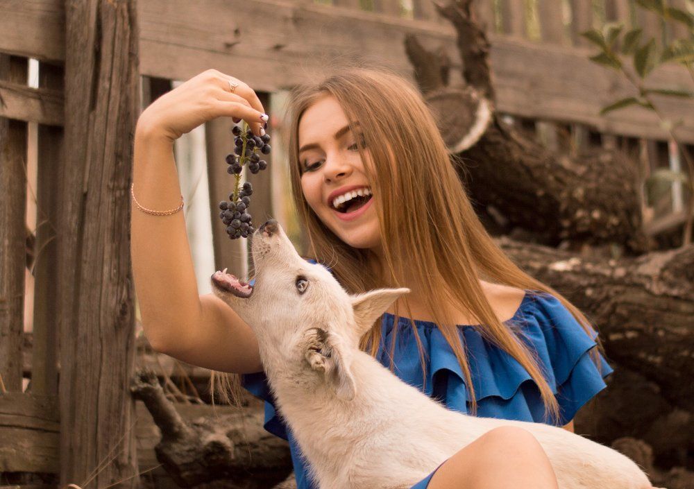 Фотография автора Анна Ватансевер