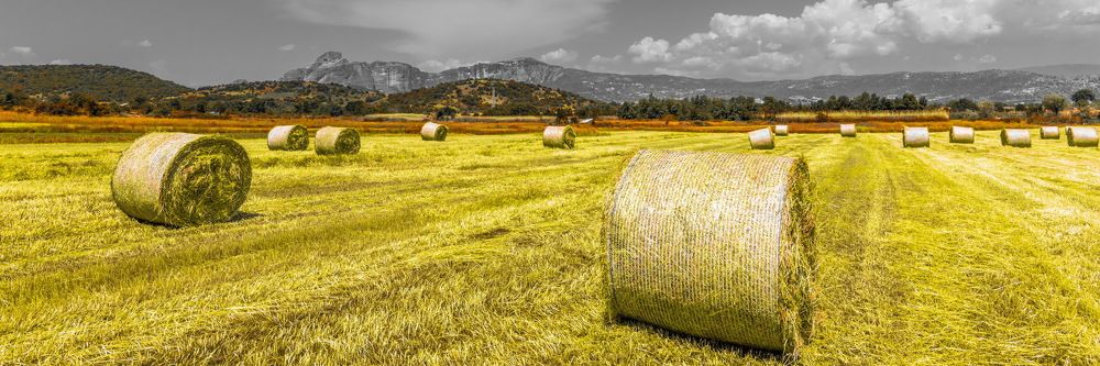 Уборка урожая закончена на поле в горной долине