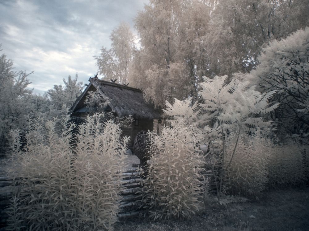 walking on the infrared